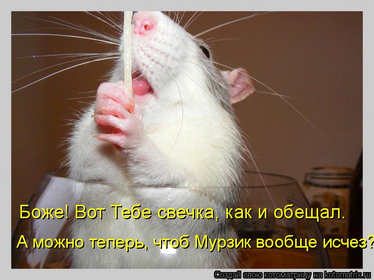 Боже! Вот Тебе свечка, как и обещал. А можно теперь, чтоб Мурзик вообще исчез?... Котоматрица: Боже! Вот Тебе свечка, как и обещал. А можно теперь, чтоб Мурзик вообще исчез?