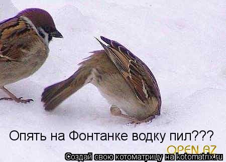 Опять на Фонтанке водку пил???... Котоматрица: Опять на Фонтанке водку пил???