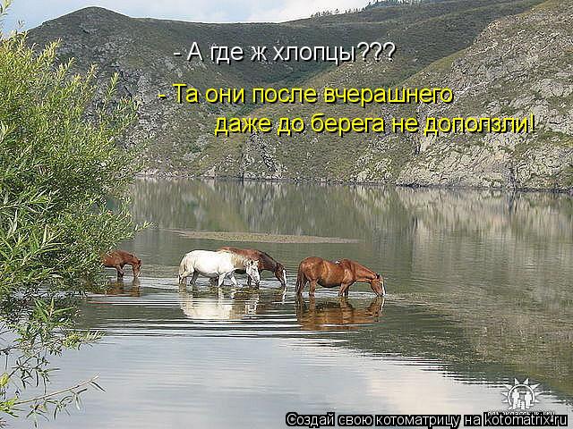 Котоматрица: - А где ж хлопцы??? - Та они после вчерашнего  даже до берега не доползли!