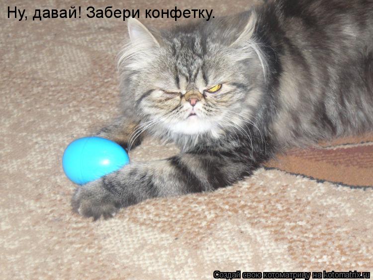 Ну, давай! Забери конфетку.... Котоматрица: Ну, давай! Забери конфетку.