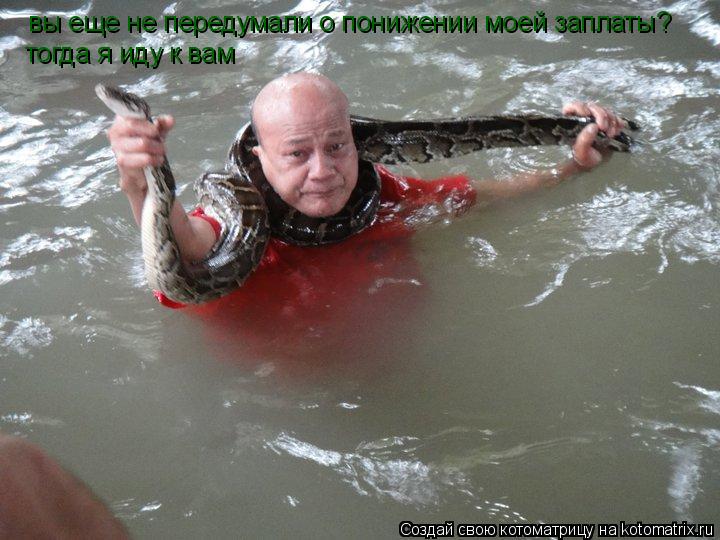 Котоматрица: вы еще не передумали о понижении моей заплаты? тогда я иду к вам