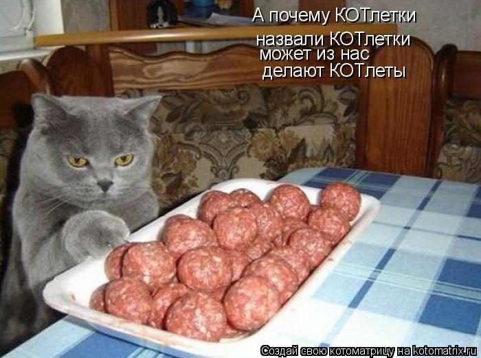 Котоматрица: А почему КОТлетки  назвали КОТлетки может из нас  делают КОТлеты