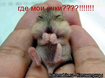 Котоматрица: где мои очки????!!!!!!!