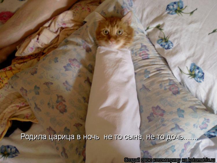 Котоматрица: Родила царица в ночь  не то сына, не то дочь.......