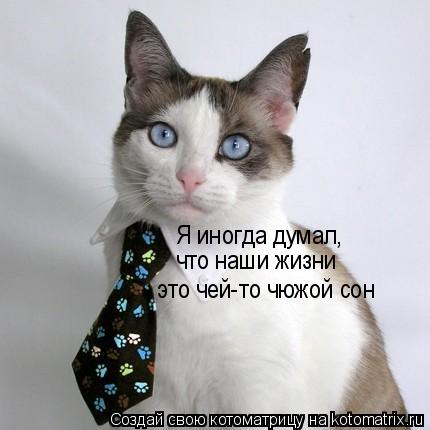 Котоматрица: Я иногда думал,  что наши жизни это чей-то чюжой сон