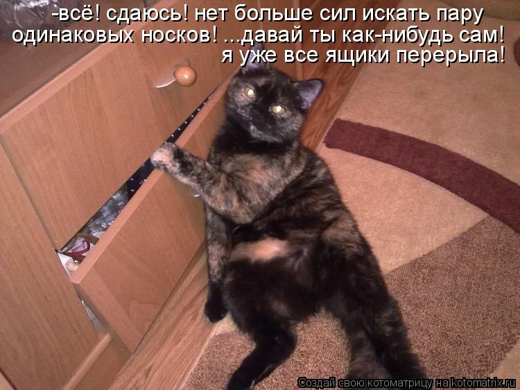 -всё! сдаюсь! нет больше сил искать пару одинаковых носков! ...давай ты как-нибудь сам! я уже все ящи... Котоматрица: -всё! сдаюсь! нет больше сил искать пару одинаковых носков! ...давай ты как-нибудь сам! я уже все ящики перерыла!