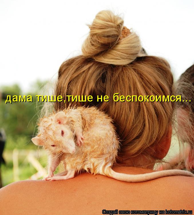 Котоматрица: дама тише,тише не беспокоимся...