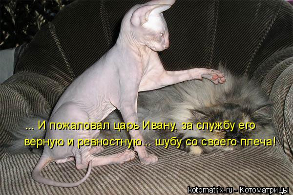 ... И пожаловал царь Ивану, за службу его верную и ревностную... шубу со своего плеча!... Котоматрица: ... И пожаловал царь Ивану, за службу его верную и ревностную... шубу со своего плеча!