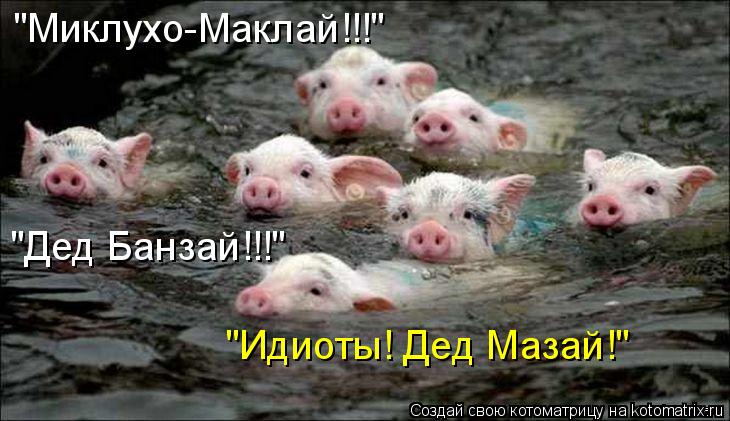 Котоматрица: "Миклухо-Маклай!!!" "Дед Банзай!!!" "Идиоты! Дед Мазай!"
