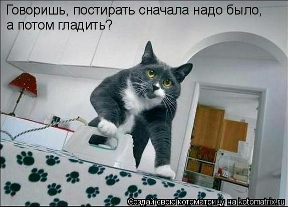 Говоришь, постирать сначала надо было, а потом гладить?... Котоматрица: Говоришь, постирать сначала надо было, а потом гладить?