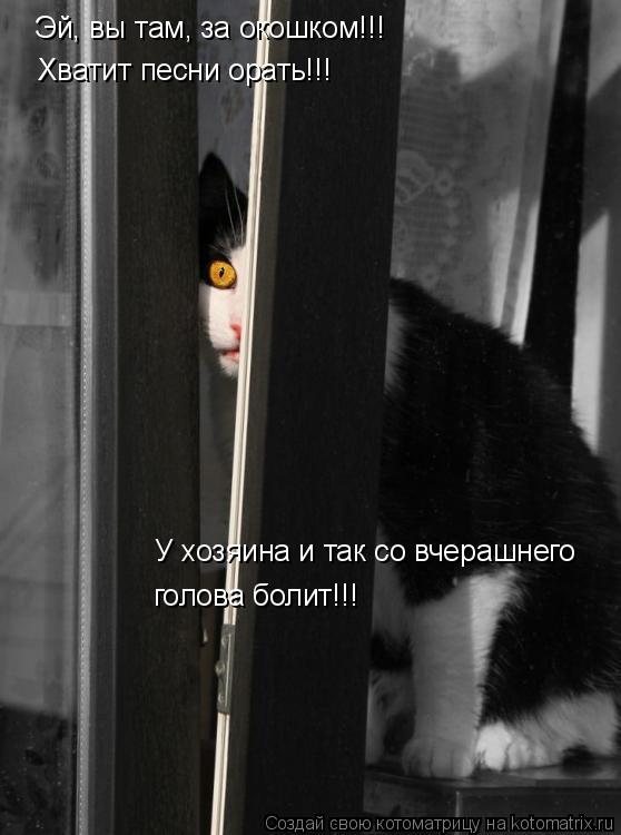 Котоматрица: Эй, вы там, за окошком!!! Хватит песни орать!!! У хозяина и так со вчерашнего голова болит!!!