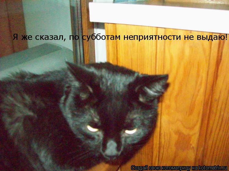 Котоматрица: Я же сказал, по субботам неприятности не выдаю!