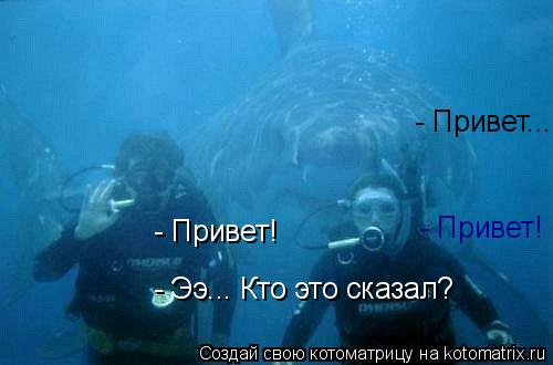 Котоматрица: - Привет! - Привет! - Ээ... Кто это сказал?  - Привет...
