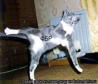 Котоматрица: ФБР