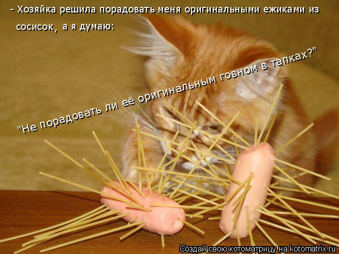 Котоматрица: - Хозяйка решила порадовать меня оригинальными ежиками из сосисок , а я думаю: "Не порадовать ли её оригинальным говном в тапках?"