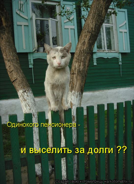 Котоматрица: Одинокого пенсионера -  и выселить за долги ??
