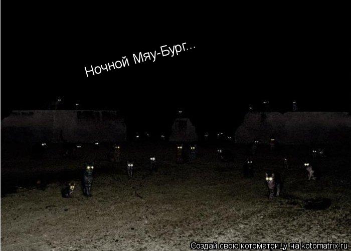 Котоматрица: Ночной Мяу-Бург...