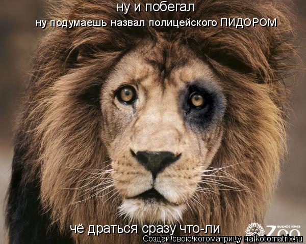 Котоматрица: ну и побегал ну подумаешь назвал полицейского ПИДОРОМ чё драться сразу что-ли