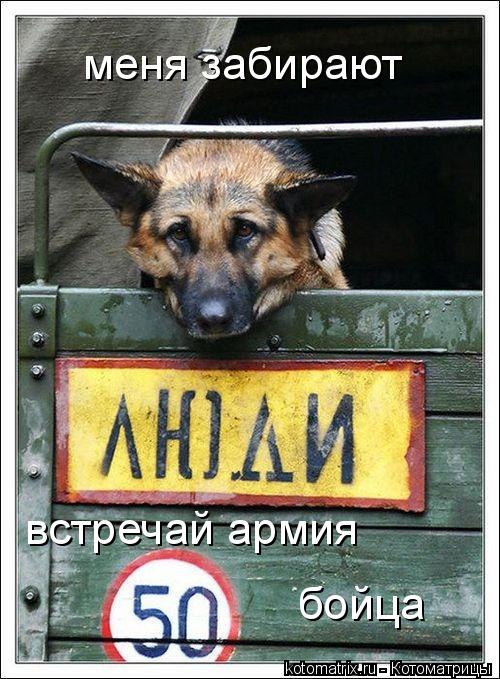 Котоматрица: меня забирают встречай армия бойца