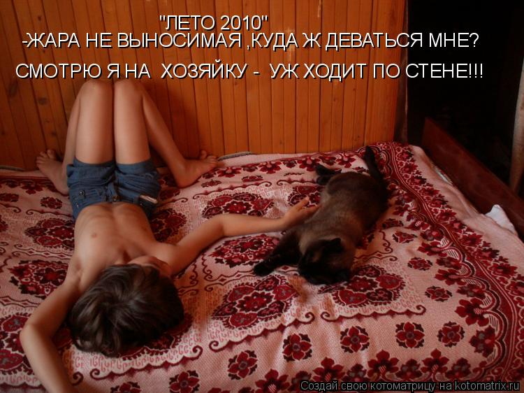 Котоматрица: "ЛЕТО 2010" -ЖАРА НЕ ВЫНОСИМАЯ ,КУДА Ж ДЕВАТЬСЯ МНЕ? СМОТРЮ Я НА  ХОЗЯЙКУ -  УЖ ХОДИТ ПО СТЕНЕ!!!