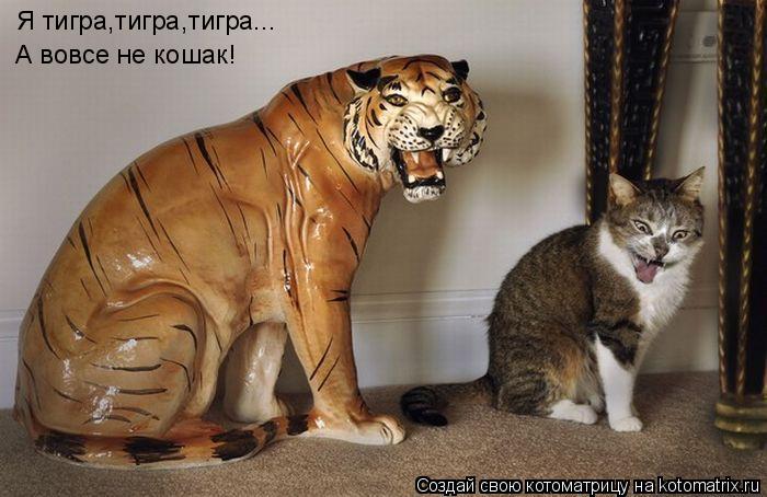 Котоматрица: Я тигра,тигра,тигра... А вовсе не кошак!