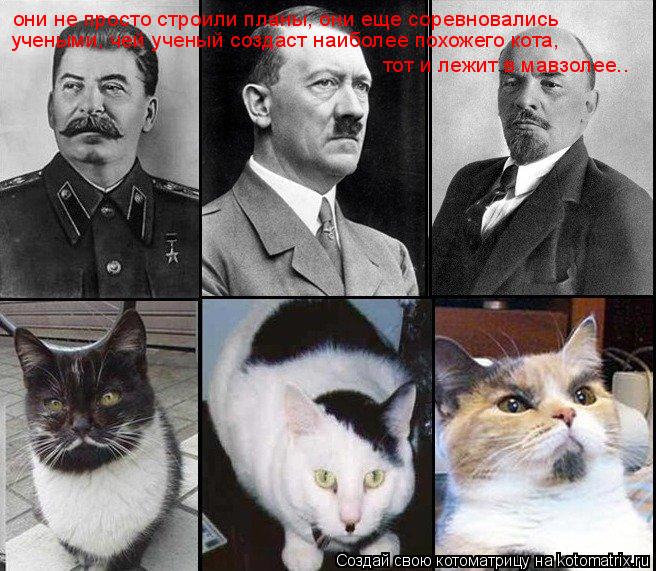 Котоматрица: они не просто строили планы, они еще соревновались  учеными, чей ученый создаст наиболее похожего кота, тот и лежит в мавзолее..