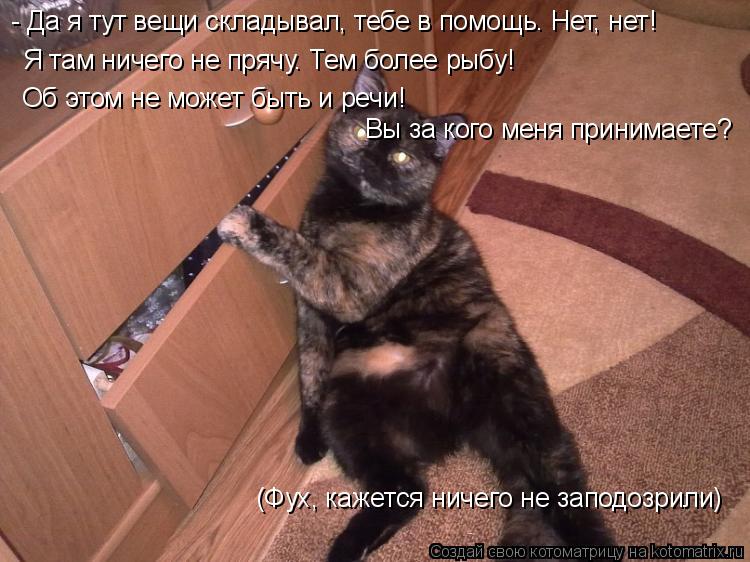 Котоматрица: - Да я тут вещи складывал, тебе в помощь. Нет, нет! Я там ничего не прячу. Тем более рыбу! Об этом не может быть и речи! Вы за кого меня принимает