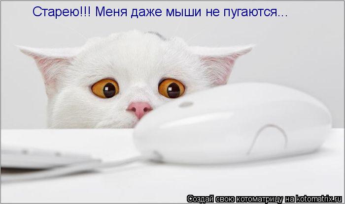 Котоматрица: Старею!!! Меня даже мыши не пугаются...