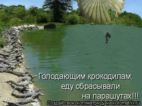 Котоматрица: на парашутах!!! Голодающим крокодилам,  еду сбрасывали