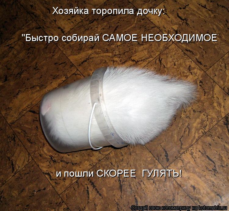 Котоматрица: Хозяйка торопила дочку: "Быстро собирай САМОЕ НЕОБХОДИМОЕ и пошли СКОРЕЕ  ГУЛЯТЬ!