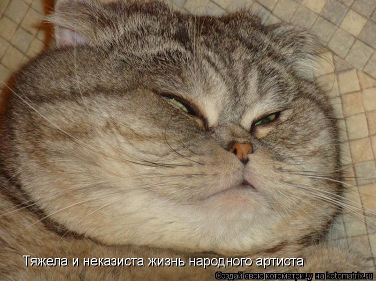 Тяжела и неказиста жизнь народного артиста... Котоматрица: Тяжела и неказиста жизнь народного артиста