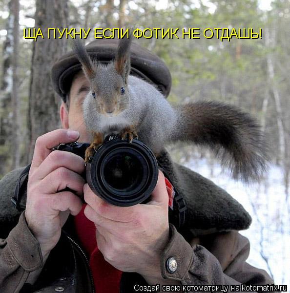 ЩА ПУКНУ ЕСЛИ ФОТИК НЕ ОТДАШЬ!... Котоматрица: ЩА ПУКНУ ЕСЛИ ФОТИК НЕ ОТДАШЬ!