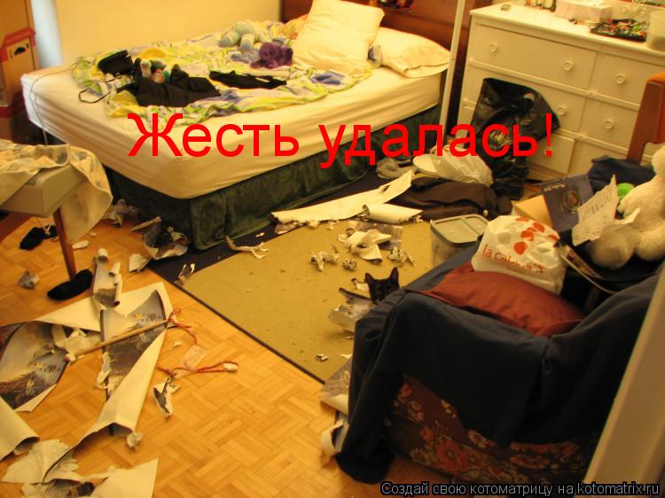 Котоматрица: Жесть удалась!