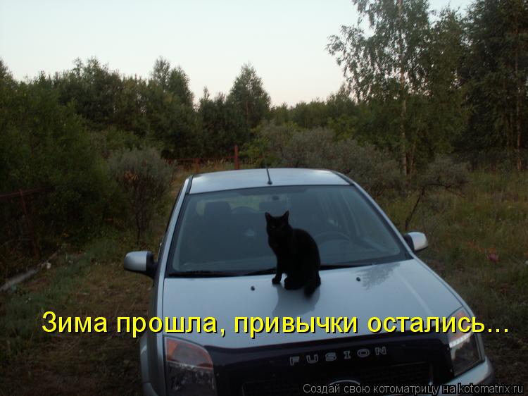 Котоматрица: Зима прошла, привычки остались...