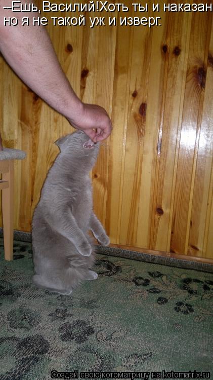 Котоматрица: --Ешь,Василий!Хоть ты и наказан, но я не такой уж и изверг.