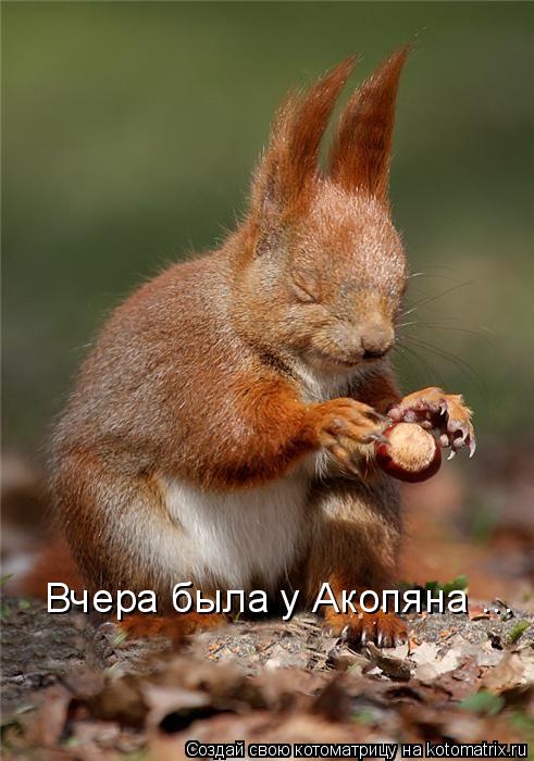 Вчера была у Акопяна ...... Котоматрица: Вчера была у Акопяна ...