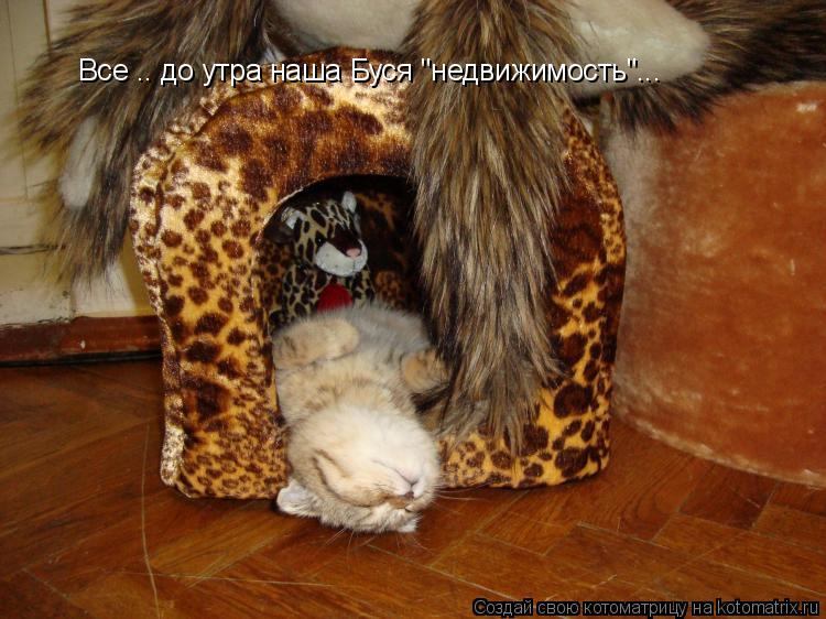 Все .. до утра наша Буся "недвижимость"...... Котоматрица: Все .. до утра наша Буся "недвижимость"...