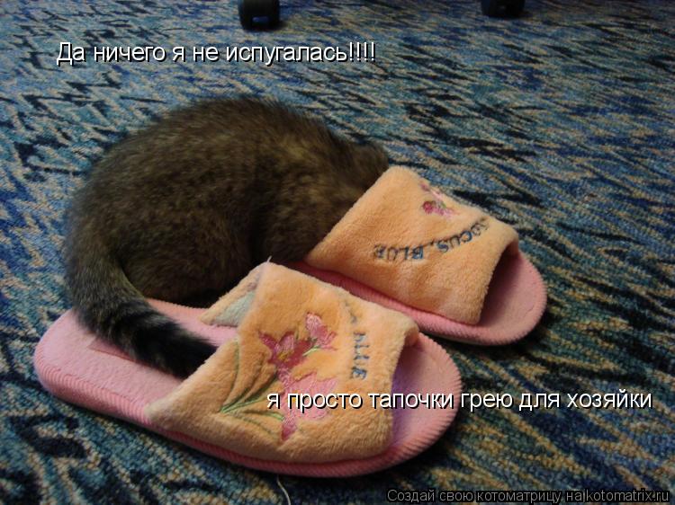 Да ничего я не испугалась!!!! я просто тапочки грею для хозяйки... Котоматрица: Да ничего я не испугалась!!!! я просто тапочки грею для хозяйки