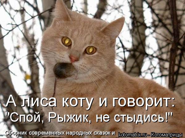 А лиса коту и говорит: "Спой, Рыжик, не стыдись!" Сборник современных народных сказок и... Котоматрица: А лиса коту и говорит: "Спой, Рыжик, не стыдись!" Сборник современных народных сказок и