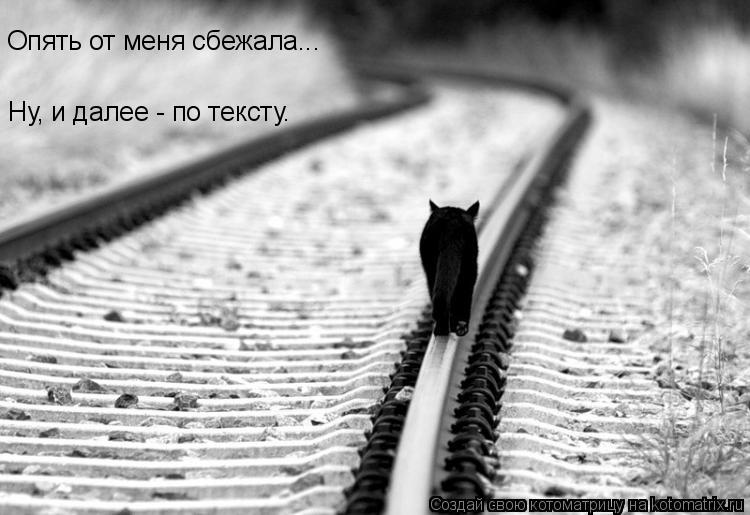 Опять от меня сбежала... Ну, и далее - по тексту.... Котоматрица: Опять от меня сбежала... Ну, и далее - по тексту.