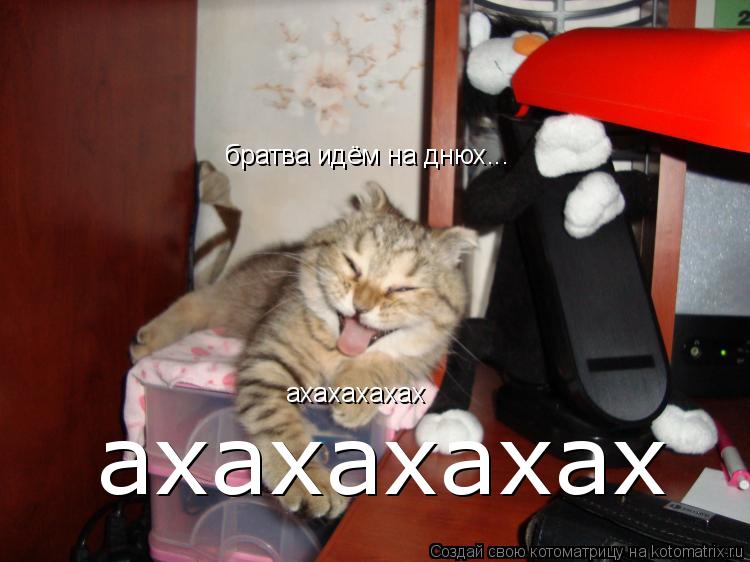 Котоматрица: братва идём на днюх... ахахахахах ахахахахах