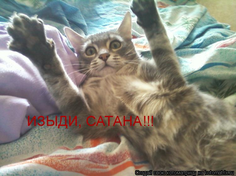 Котоматрица: ИЗЫДИ, САТАНА!!!