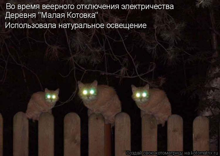 Котоматрица: Во время веерного отключения электричества Деревня "Малая Котовка" Использовала натуральное освещение