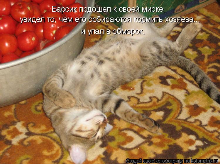 Котоматрица: Барсик подошел к своей миске,  увидел то, чем его собираются кормить хозяева... и упал в обморок.