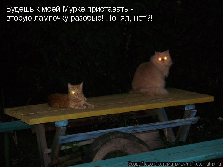 Котоматрица: Будешь к моей Мурке приставать -  вторую лампочку разобью! Понял, нет?!