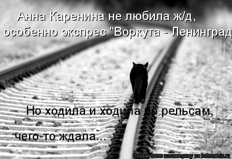 Анна Каренина не любила ж/д, особенно экспрес "Воркута - Ленинград" Но ходила и ходила по рельсам, че... Котоматрица: Анна Каренина не любила ж/д, особенно экспрес "Воркута - Ленинград" Но ходила и ходила по рельсам, чего-то ждала...