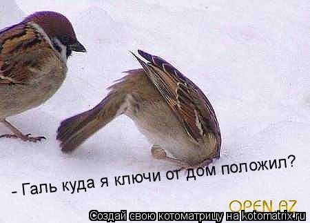 - Галь куда я ключи от дом положил?... Котоматрица: - Галь куда я ключи от дом положил?