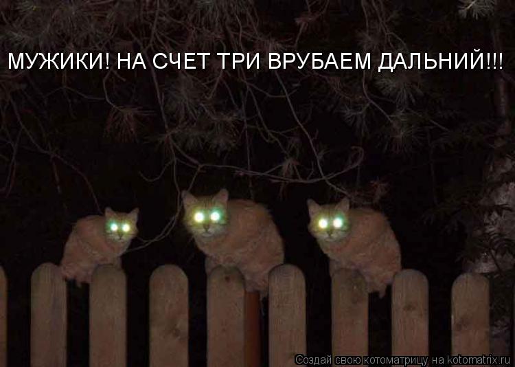 Котоматрица: МУЖИКИ! НА СЧЕТ ТРИ ВРУБАЕМ ДАЛЬНИЙ!!!