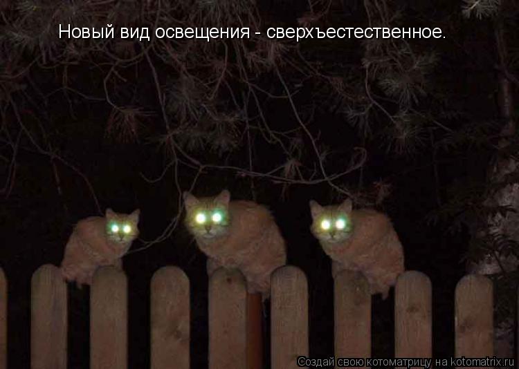 Новый вид освещения - сверхъестественное.... Котоматрица: Новый вид освещения - сверхъестественное.