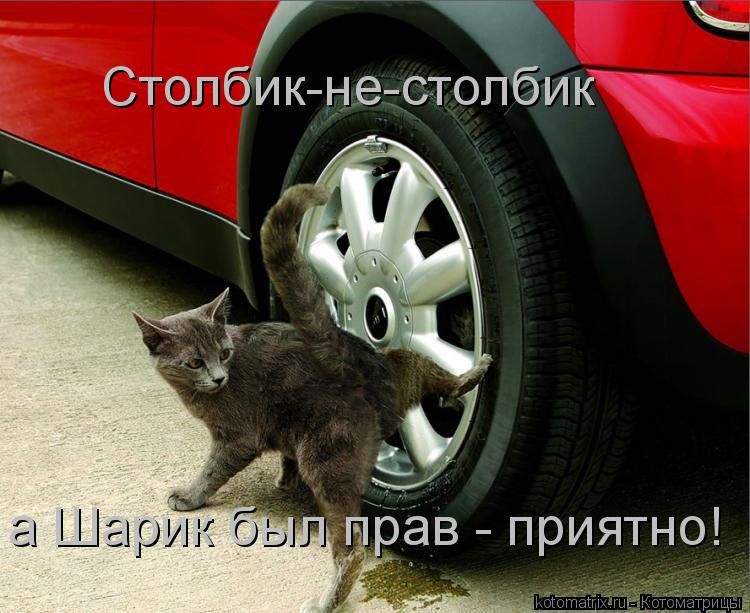 Столбик-не-столбик а Шарик был прав - приятно!... Котоматрица: Столбик-не-столбик а Шарик был прав - приятно!